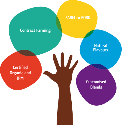 WHAT IS MAKES US STRONG